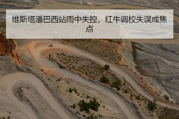 维斯塔潘巴西站雨中失控，红牛调校失误成焦点