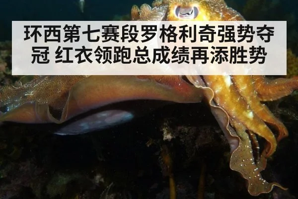 环西第七赛段罗格利奇强势夺冠 红衣领跑总成绩再添胜势