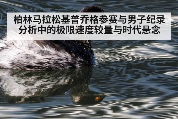 柏林马拉松基普乔格参赛与男子纪录分析中的极限速度较量与时代悬念